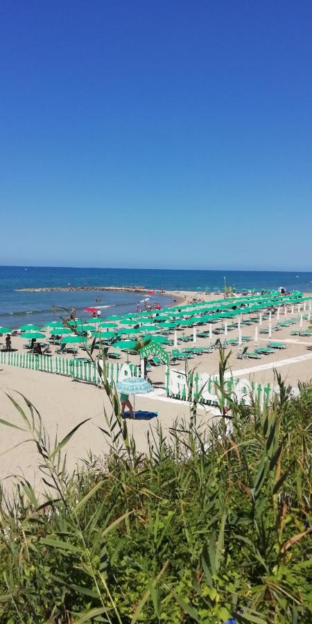 Villa Giuliana Stanze Con Bagno Interno In Villa A 350 Mt Spiaggia Libera Lido Delle Sirene Anzio Exterior photo