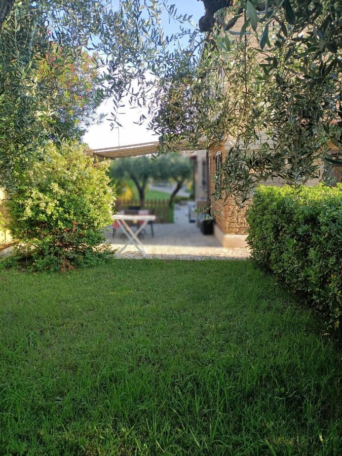 Villa Giuliana Stanze Con Bagno Interno In Villa A 350 Mt Spiaggia Libera Lido Delle Sirene Anzio Exterior photo
